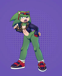 Size: 1632x2000 | Tagged: safe, artist:carboncoal, scourge the hedgehog, hedgehog, blue eyes, fingerless gloves, glasses, glasses on head, green fur, jacket, male, shoes, socks