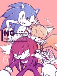 Size: 1536x2048 | Tagged: dnp, safe, artist:aogirinaru, knuckles the echidna, miles "tails" prower, sonic the hedgehog