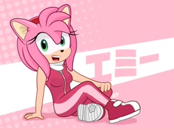 Size: 1080x800 | Tagged: safe, artist:judacris, amy rose