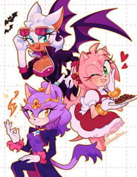 Size: 527x680 | Tagged: safe, artist:sonicistebest, amy rose, blaze the cat, rouge the bat