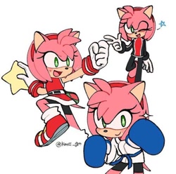 Size: 564x559 | Tagged: dead source, safe, artist:kmcc_gm, amy rose