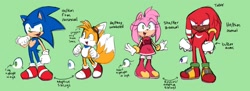 Size: 2048x747 | Tagged: safe, artist:fieldofcloverz, amy rose, knuckles the echidna, miles "tails" prower, sonic the hedgehog