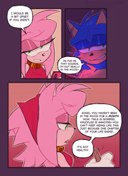 Size: 1489x2048 | Tagged: safe, artist:honestlynotgonnalie, amy rose, sonic the hedgehog, comic:now what?, 2025, abstract background, comic, dialogue, duo, english text, holding something, lidded eyes, outline, paintbrush, speech bubble