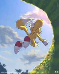 Size: 1600x2000 | Tagged: safe, artist:azizdraws, miles "tails" prower, 2021, abstract background, clouds, daytime, flying, from behind, grass, loop, mid-air, outdoors, palm tree, signature, solo