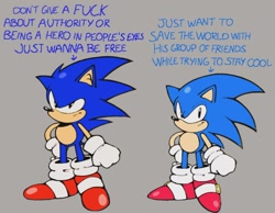 Size: 1440x1119 | Tagged: safe, artist:genkiii05, sonic the hedgehog, 2025, classic sonic, duo, english text, grey background, op has a point, self paradox, simple background, smile