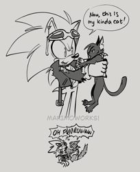 Size: 562x688 | Tagged: safe, artist:scourgefrontier, scourge the hedgehog