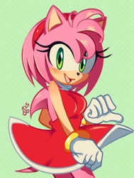 Size: 1283x1699 | Tagged: safe, artist:chxrry_bonbon, amy rose, hedgehog, female, solo