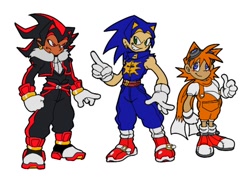 Size: 916x657 | Tagged: safe, artist:casinobunbun, miles "tails" prower, shadow the hedgehog, sonic the hedgehog, human, flat colors, frown, humanized, simple background, smile, trio, white background