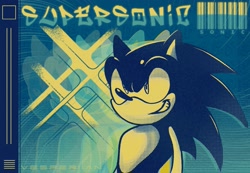 Size: 2263x1569 | Tagged: safe, artist:vesperiian, sonic the hedgehog, hedgehog, abstract background, bar code, grin, grinning, male, solo, text