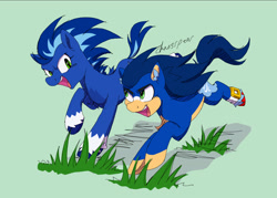 Size: 1923x1376 | Tagged: safe, artist:chaosspear, sonic the hedgehog, 2023, barely sonic related, crossover, duo, earth pony, grass, green background, looking at each other, mouth open, my little pony, open mouth, open smile, ponified, pony, running, self paradox, signature, simple background, smile, species swap