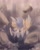 Size: 1289x1600 | Tagged: safe, artist:asty_asterisk, miles "tails" prower, sonic the hedgehog, fox, hedgehog, abstract background, duo, falling, hugging, male, rock