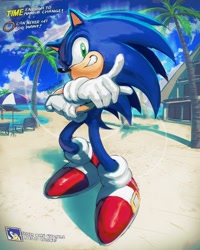Size: 2400x3000 | Tagged: safe, artist:kornart3, sonic the hedgehog, hedgehog, sonic adventure, 2024, beach, cloud, clouds, crossed arms, emerald coast, grin, grinning, male, ocean, palm tree, ring, sand, solo, text, umbrella, water