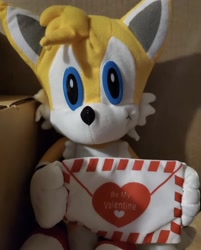Size: 1242x1542 | Tagged: safe, miles "tails" prower, fox, cute, heart, holding something, irl, looking at viewer, mail, male, photo, smile, solo, stuffed animal, toy network, valentine's day