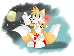 Size: 2048x1561 | Tagged: safe, artist:basilo_tyrannus, miles "tails" prower, tails doll, fox, 2025, cute, doll, duo, fangs, grass, holding something, male, moon, nighttime, open mouth, robot, star (sky), stargazing