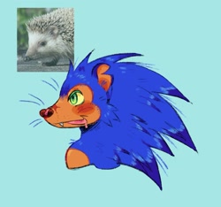 Size: 1445x1355 | Tagged: safe, artist:zzcarnotauro, sonic the hedgehog, 2025, alternate universe, blue background, blushing, bust, cheek fluff, drooling, looking offscreen, mouth open, one fang, reference inset, scar, side view, simple background, smile, solo, tan skin, tongue out, torn ear, whiskers