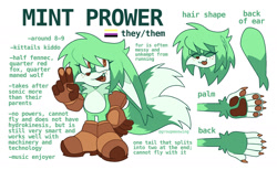 Size: 2007x1235 | Tagged: safe, artist:ocdkitsunami, oc, oc:mint prower, 2025, character name, claws, cute, english text, fankid, fennec, freckles, magical gay spawn, nonbinary, oc only, ocbetes, parent:kit, parent:tails, parents:kittails, pawpads, paws, reference sheet, simple background, smile, solo, solo nonbinary, standing, white background