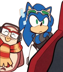 Size: 548x622 | Tagged: safe, editor:lesiasmadness, sonic the hedgehog, hedgehog, owl, 2024, digital static, duo, edit, eyes closed, frown, holding something, looking at something, nite the owl, riders outfit, simple background, smile, sunglasses, transparent background, transparent edit