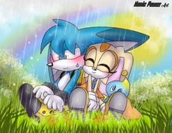Size: 1383x1069 | Tagged: safe, artist:nonicpower, cheese (chao), cream the rabbit, kit the fennec