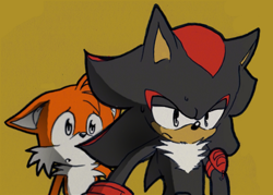 Size: 480x343 | Tagged: safe, artist:carlaenjin, artist:rlouis95, miles "tails" prower, shadow the hedgehog, 2008, :o, arm band, color edit, duo, edit, floppy ears, frown, lidded eyes, looking at them, looking offscreen, mouth open, simple background, standing, sweatdrop, yellow background
