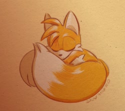 Size: 986x870 | Tagged: safe, artist:aokiyoki_, miles "tails" prower, 2025, cute, eyes closed, signature, sleeping, solo, transparent background, wrapped in tails