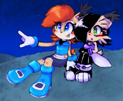 Size: 2318x1907 | Tagged: safe, artist:megalatias, nicole the hololynx, sally acorn, 2015, abstract background, blushing, cute, duo, grass, lesbian, looking offscreen, mouth open, nicabetes, nicole x sally, nighttime, outdoors, pointing, sallabetes, shipping, shooting star, sitting, smile, star (sky), stargazing