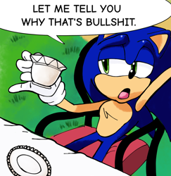 Size: 1276x1311 | Tagged: safe, artist:sm0lb3ar, sonic the hedgehog, 2025, chair, daytime, dialogue, english text, grass, hand behind head, holding something, let me tell you why that's bullshit, meme, mouth open, outdoors, plate, reaction image, redraw, sitting, solo, speech bubble, table, talking, teacup, text