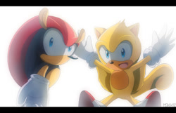Size: 894x575 | Tagged: safe, artist:msn1412, mighty the armadillo, ray the flying squirrel, 2013, arms out, border, duo, looking at viewer, mid-air, mouth open, open smile, simple background, smile, smiling at viewer, sonic x style, standing, white background