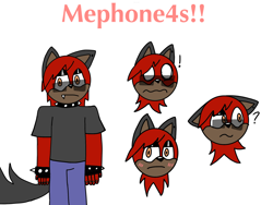 Size: 2160x1620 | Tagged: safe, oc, wolf, character sheet, crossover, flat colors, mobianified, oc only, solo, spiked bracelet, spiked collar, sunglasses