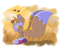 Size: 2048x1536 | Tagged: safe, artist:basilo_tyrannus, miles "tails" prower, bird, 2025, abstract background, flower, grass, holding something, literal animal, looking at viewer, no mouth, outdoors, side view, signature, solo focus, sunset, trio