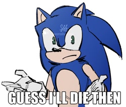 Size: 1012x859 | Tagged: safe, artist:sonslivshad, sonic the hedgehog, 2025, caption, english text, flat colors, frown, guess i'll die, looking at viewer, meme, shrugging, signature, simple background, solo, text, white background