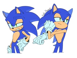 Size: 1724x1314 | Tagged: safe, artist:yadi_delulu, sonic the hedgehog