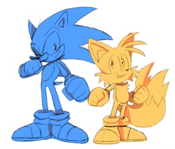 Size: 1024x871 | Tagged: safe, artist:theemuemi, miles "tails" prower, sonic the hedgehog, 2021, duo, looking at them, monochrome, simple background, smile, smiling at them, smiling at viewer, sonic and tails r (series), standing, white background, wink