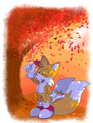 Size: 1536x2048 | Tagged: safe, artist:basilo_tyrannus, miles "tails" prower, 2025, abstract background, daytime, eyes closed, flower, grass, holding something, leaf, outdoors, smile, solo, standing, tree, under a tree