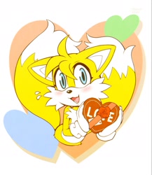 Size: 1540x1777 | Tagged: safe, artist:rinri1310, miles "tails" prower, 2021, blushing, chocolate box, cute, eyelashes, flat colors, flower, heart, heart tail, leg fluff, mouth open, open smile, rose, smile, smiling at viewer, solo, tailabetes, valentine's day