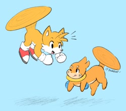 Size: 1526x1334 | Tagged: safe, artist:jakecat, miles "tails" prower, 2023, buizel, clenched fists, crossover, cute, duo, flat colors, flying, looking at each other, mid-air, mouth open, open smile, paws, pokemon, signature, smile, smiling at them, spinning tails, tailabetes, tongue out