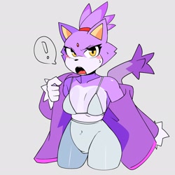 Size: 2048x2048 | Tagged: suggestive, artist:ryuuu_k1, blaze the cat