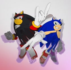Size: 1719x1715 | Tagged: safe, artist:guitar_00000001, shadow the hedgehog, sonic the hedgehog, 2025, duo, frown, gradient background, grin, shadow (lighting), smile, soap shoes