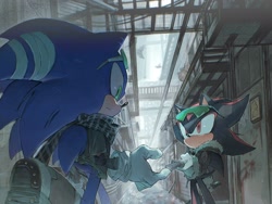 Size: 2048x1536 | Tagged: safe, artist:qoooop03, shadow the hedgehog, sonic the hedgehog, 2025, bandage, daytime, duo, eyewear on head, holding something, jacket, looking at them, outdoors, sonic riders, standing