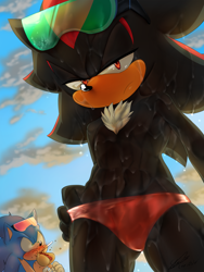 Size: 1500x2000 | Tagged: suggestive, artist:f-sonic, shadow the hedgehog, sonic the hedgehog, hedgehog, 2016, beach, bleeding, blood, blushing, chili dog, choking, clouds, crumbs, daytime, duo, duo male, eyewear on head, food, gay, lidded eyes, looking at them, looking at viewer, looking down, looking down at viewer, male, males only, nosebleed, outdoors, saliva, shadow x sonic, shipping, solo focus, stupid sexy shadow, sunglasses, swimming trunks, topless, wet