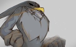 Size: 2422x1490 | Tagged: safe, artist:oiix0xiio, storm the albatross, bird, 2026, clenched fist, frown, grey background, male, simple background, solo, solo male, standing