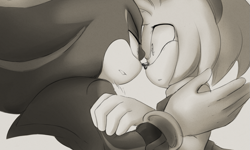 Size: 1077x645 | Tagged: safe, artist:un-genesis, amy rose, shadow the hedgehog, hedgehog, 2014, age difference, amy x shadow, duo, female, frown, greyscale, holding each other, lidded eyes, looking at each other, male, monochrome, shipping, standing, straight