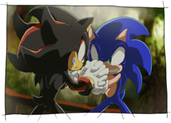 Size: 800x577 | Tagged: safe, artist:aoki6311, artist:fumomo, shadow the hedgehog, sonic the hedgehog, 2013, border, clenched teeth, duo, fight, frown, grass, holding hands, looking at each other, outdoors, standing, sweatdrop, tree