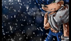 Size: 1200x700 | Tagged: safe, artist:leons-7, sonic the hedgehog, 2012, bleeding, blood, border, clenched teeth, crying, holding arm, injured, lidded eyes, outdoors, sad, snow, snowing, solo, standing, tears, torn gloves