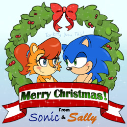 Size: 1015x1020 | Tagged: safe, artist:torykitty, sally acorn, sonic the hedgehog, chipmunk, hedgehog, 2025, blushing, christmas, duo, female, looking at each other, male, ponytail, sally x sonic, shipping, sparkles, straight
