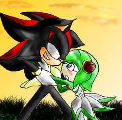 Size: 603x593 | Tagged: safe, artist:hamlet1616, cosmo the seedrian, shadow the hedgehog, 2010, abstract background, age difference, blushing, cosmo x shadow, duo, grass, lidded eyes, looking at each other, mouth open, outdoors, shipping, side view, signature, smile, standing, straight, sunset