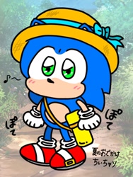 Size: 880x1173 | Tagged: safe, artist:om_200701, sonic the hedgehog, 2025, blushing, cute, hat, japanese text, solo, sonabetes, standing