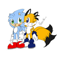 Size: 900x900 | Tagged: safe, artist:phoenixsalover, oc, oc:monty the hedgehog, oc:tony the fox, fox, hedgehog, 2011, blue shoes, duo, flat colors, fur markings, gloves, looking at viewer, mouth open, open smile, red shoes, shoes, signature, simple background, smile, smiling at viewer, socks, standing, three tails, white background, wink, winking at viewer