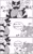 Size: 748x1200 | Tagged: safe, artist:asune_snare, sonic the hedgehog, 2024, comic, crossover, greyscale, incineroar, japanese text, looking at them, monochrome, pikachu, pokemon, simple background, speech bubble, super smash brothers, trio, white background