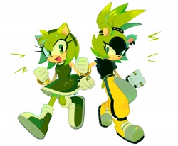 Size: 2767x2275 | Tagged: safe, artist:twixei0, amy rose, surge the tenrec, 2025, color swap, duo, green amy, green fur, lesbian, looking at each other, looking at them, mouth open, shipping, simple background, smile, surgamy, white background