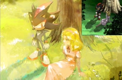 Size: 1670x1101 | Tagged: safe, artist:waaii132299, maria robotnik, shadow the hedgehog, human, sonic x, 2025, daytime, duo, grass, looking at each other, looking at them, outdoors, redraw, reference inset, sitting, smile, standing, tree